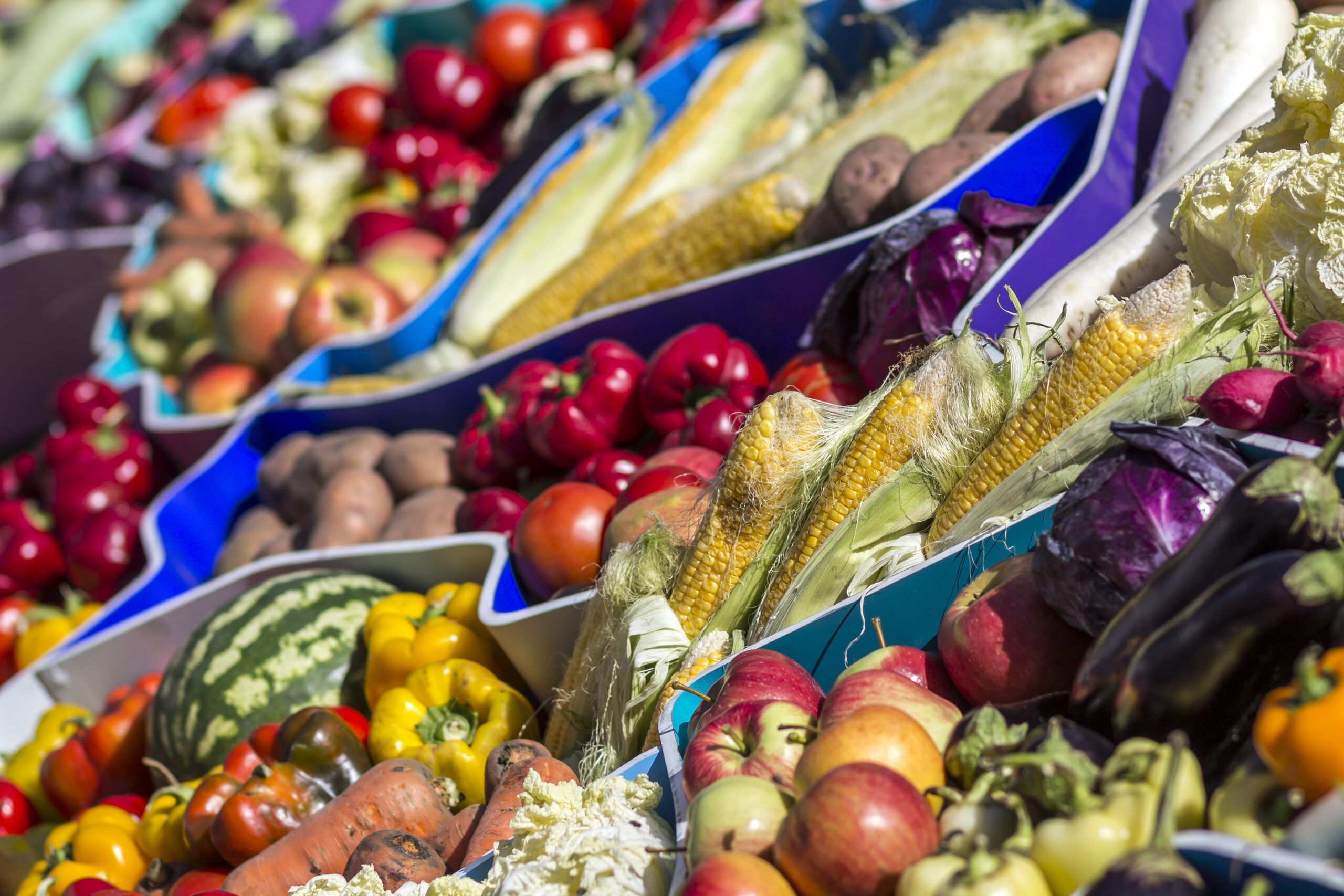 farmers fruit market with various colorful fresh fruits and vegetables